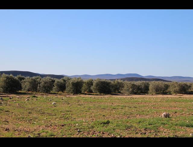 15HA FARM FOR SALE IN PRINCE ALBERT RURAL